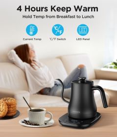 Gooseneck Electric Kettle With Temperature Control